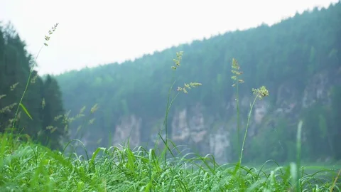 Rock on the river Chusovaya Stock Footage 113178712