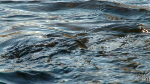 Rock in a river Stock Footage 876856