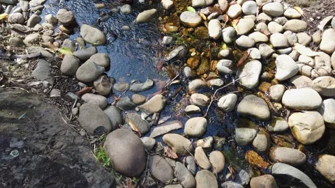 Rock River Video stock 144258765