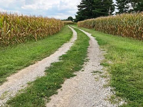 Rock Road Between Two Corn Fields Foto stock
