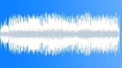 Rock & Roll Acoustic Energetic TuneStock Music