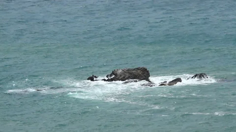 Rock in the Sea Stock-Footage 31112419