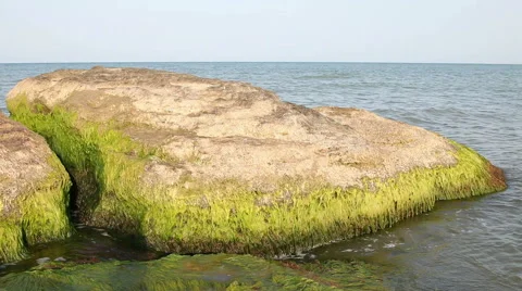 Rock in the sea Stock Footage 59659716
