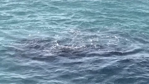 The rock in the sea Stock Footage 170225221