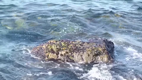 The rock in the sea Stock Footage 170225331