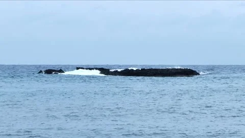 Rock in the sea Video stock 172116467