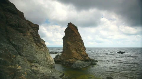Rock in the sea, waves, clouds and bird Stock Footage 45837282