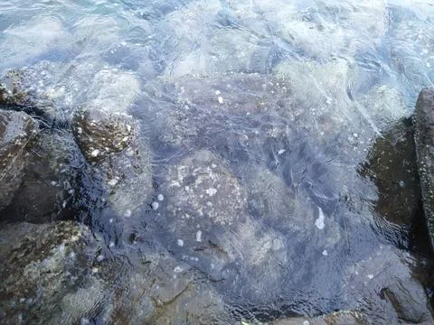 Rock in the seascape  Stock Photos