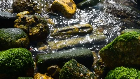 Rock seashore and waves hitting. Stock Footage 80295667