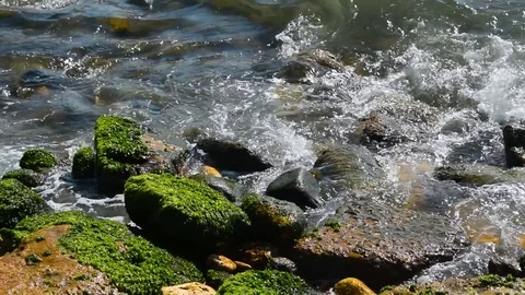 Rock seashore and waves hitting. Video stock 80295720