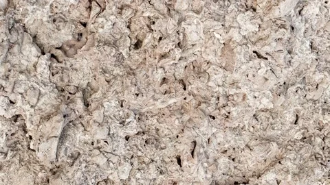 Rock from sedimentary shell rocks rotating, turning 動画素材 249586898