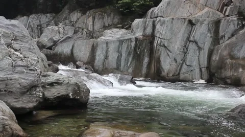 Rock shallow stream Stock-Footage 41673393