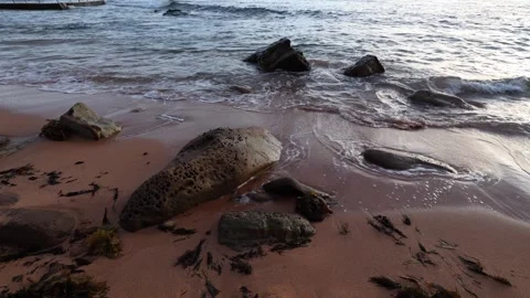 Rock on the shore Stock Footage 256781521
