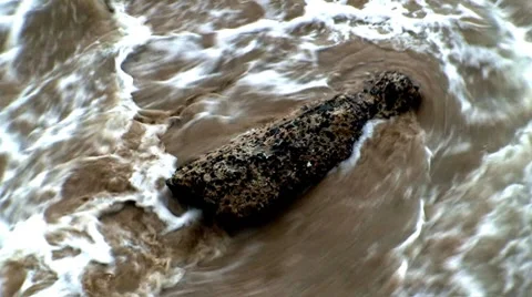 Rock on shore waves timelapse Video stock 7905339