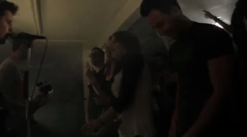 Rock Show Crowd Video stock 8848317