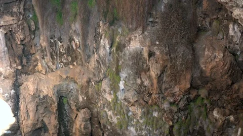 Rock soil layers line cave wall with stalactites - Strata Types and Beneath Type Stock Footage 339814057