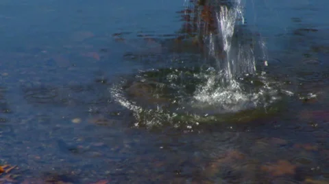 Rock Splashes into Pond Stock Footage 32701628