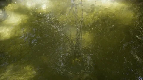 Rock Splashes Into Water Stock Footage