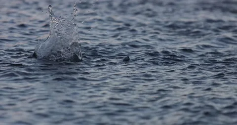 Rock splashing in a lake Stock Footage 172521131