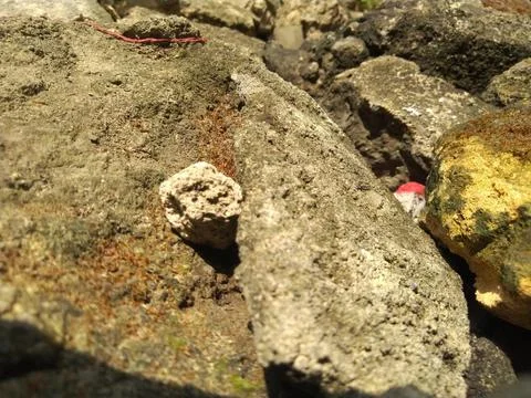 Rock Stack or Stone Balancing in the Garden Stock Photos