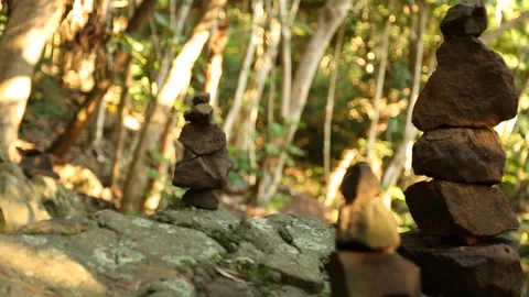 Rock statue in forest Stock Footage 93593571
