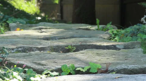 Rock Steps Stock Footage 40805039