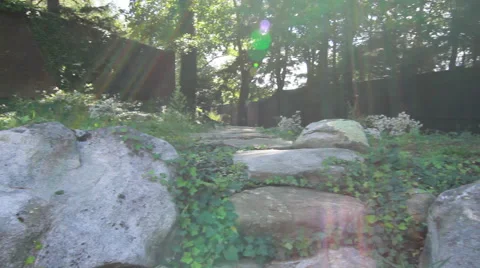 Rock Steps II Video stock 40804918