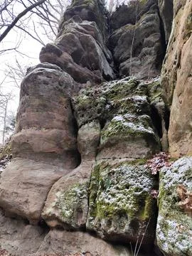 Rock stone in forest Foto stock