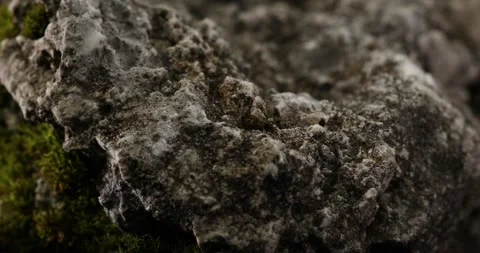 Rock Stone with green moss. Stock Footage 265248022