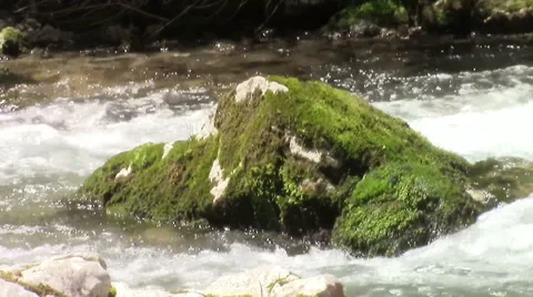 Rock on a stream Stock-Footage 51152640