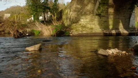 A rock in a stream Stock Footage 242621508
