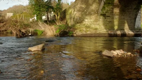 A rock in a stream Stock Footage 242621525