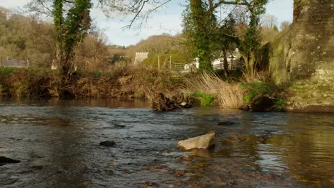 A rock in a stream Stock Footage 242621699