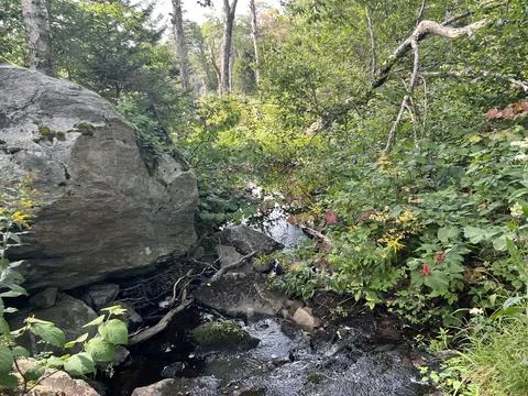 Rock by a Stream Stock Photos