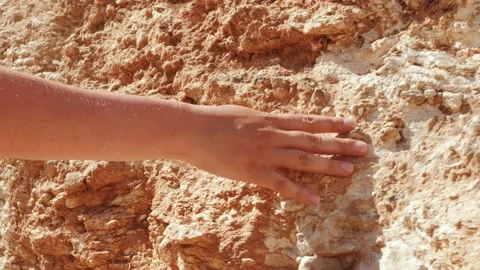 Rock structures and textures. Geology concept. Close up of surface sandy rock. 库存影片 160252854