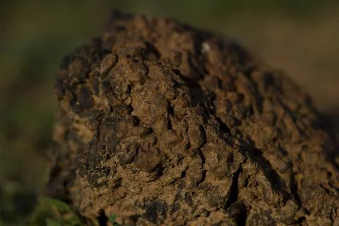 A rock surface closeup that's created due to weathering Stock Photos