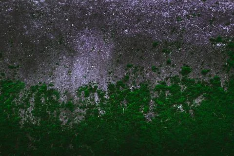 Rock surface cracks. Structure material. Painted Wall. Space. Abstract textur Stock Photos