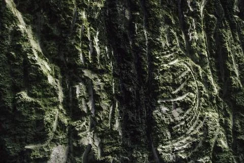 Rock surface cracks. Structure material. Painted Wall. Space. Abstract textur Stock Photos