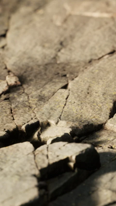 Rock surface displaying cracks and textures in natural setting outdoors Stock Footage 338419063