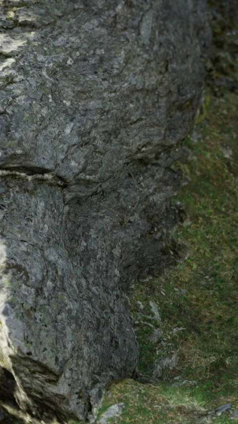 Rock surface with moss during daylight showing texture and natural elements Video stock 334887024