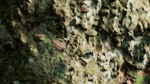 Rock surface with natural textures and patterns in a forest setting Stock Footage 344060836