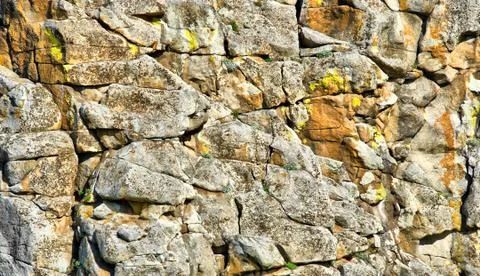 Rock surface Stock Photos