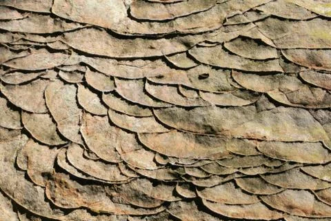 Rock surface Stock Photos