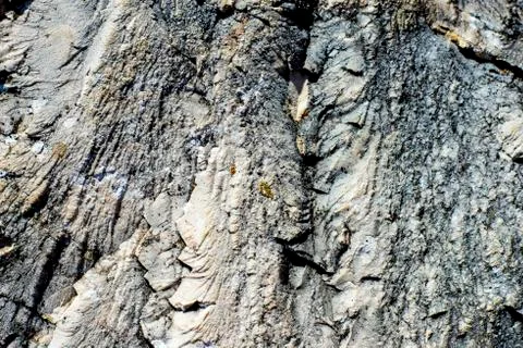 Rock surface Stock Photos