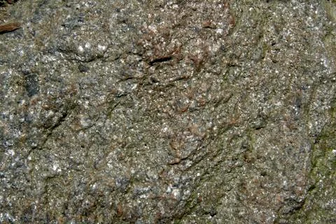 Rock Surface Stock Photos