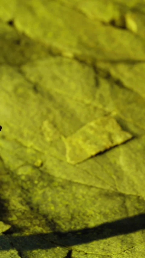 Rock surface with shadows and a small object at a mining site during the day Stock Footage 336026686