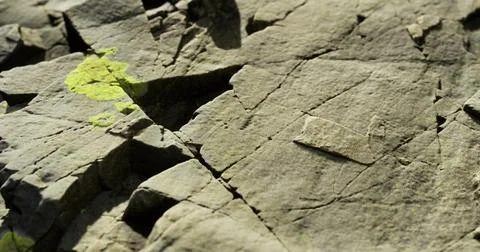 Rock surface showcasing intricate textures, patterns, and mossy green spots Stock Illustration