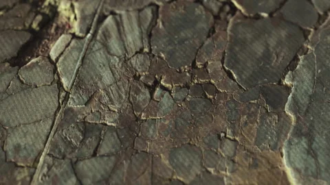 Rock surface showing cracks and texture under natural light Stock Footage 342048979