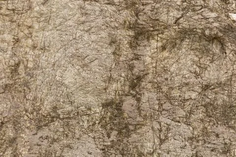 The rock surface shows unique patterns formed by natural processes. Irregular Stock Photos
