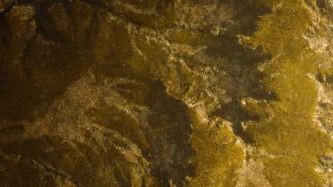 Rock surface with textures and patterns in natural setting during daylight Stock Footage 345014515
